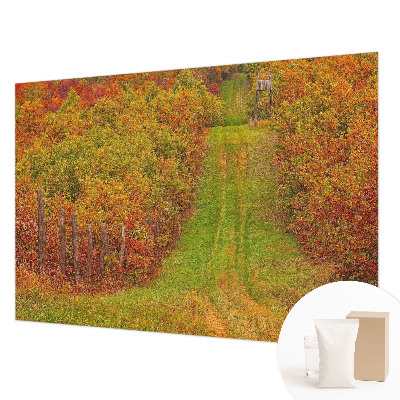 3D fototapeta Podzimní barvy