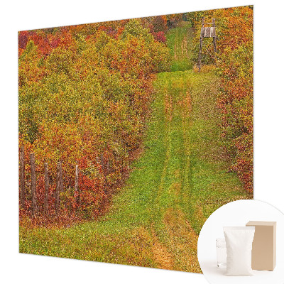 3D fototapeta Podzimní barvy