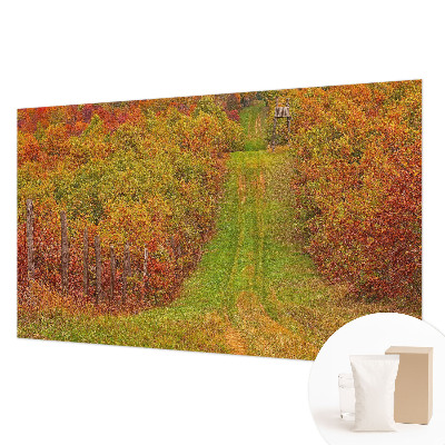 3D fototapeta Podzimní barvy