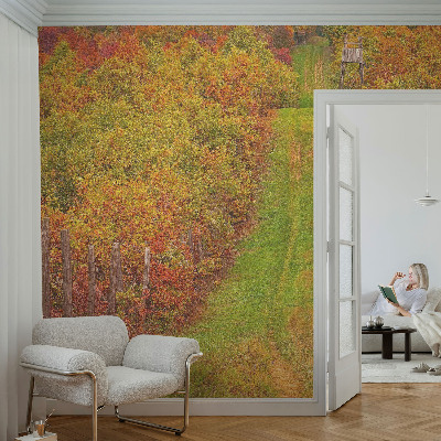 3D fototapeta Podzimní barvy