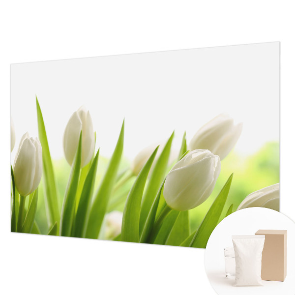 Vliesová fototapeta do ložnice Bílé tulipány