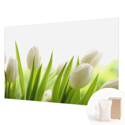 Vliesová fototapeta do ložnice Bílé tulipány