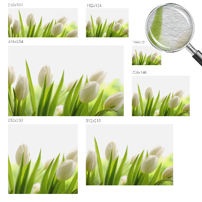 Vliesová fototapeta do ložnice Bílé tulipány