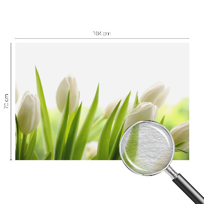 Vliesová fototapeta do ložnice Bílé tulipány