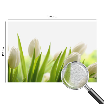 Vliesová fototapeta do ložnice Bílé tulipány