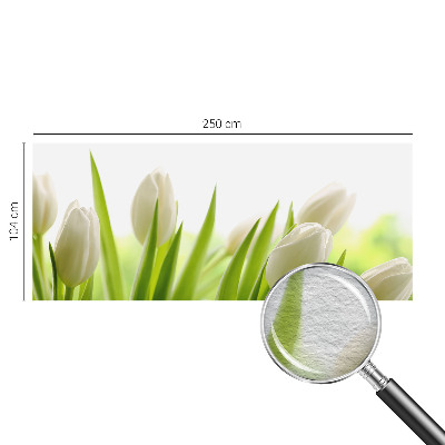 Vliesová fototapeta do ložnice Bílé tulipány
