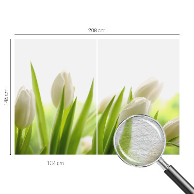 Vliesová fototapeta do ložnice Bílé tulipány