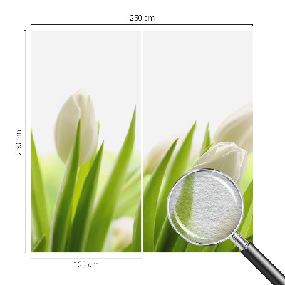 Vliesová fototapeta do ložnice Bílé tulipány
