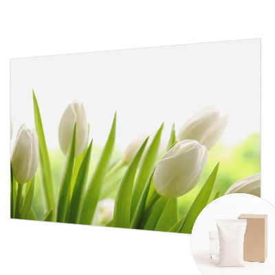 Vliesová fototapeta do ložnice Bílé tulipány