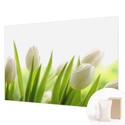 Vliesová fototapeta do ložnice Bílé tulipány