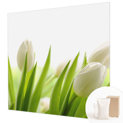 Vliesová fototapeta do ložnice Bílé tulipány