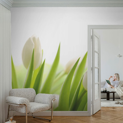 Vliesová fototapeta do ložnice Bílé tulipány