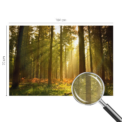 Vliesová fototapeta pro děti Lesní ráno