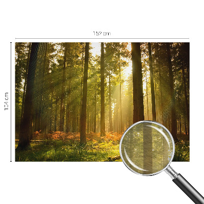 Vliesová fototapeta pro děti Lesní ráno