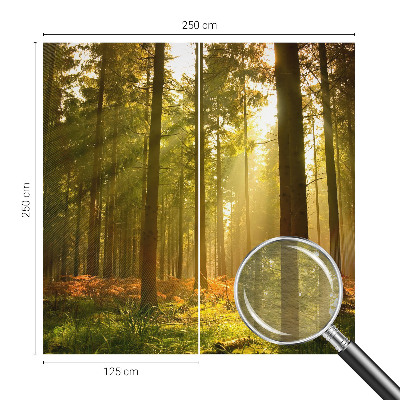 Vliesová fototapeta pro děti Lesní ráno