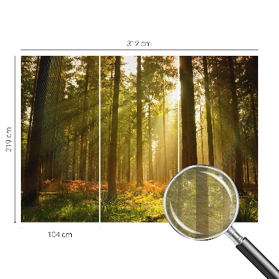 Vliesová fototapeta pro děti Lesní ráno
