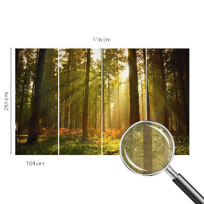 Vliesová fototapeta pro děti Lesní ráno