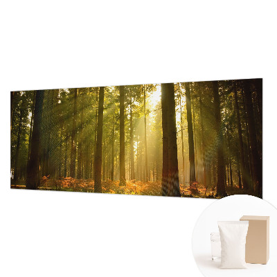 Vliesová fototapeta pro děti Lesní ráno