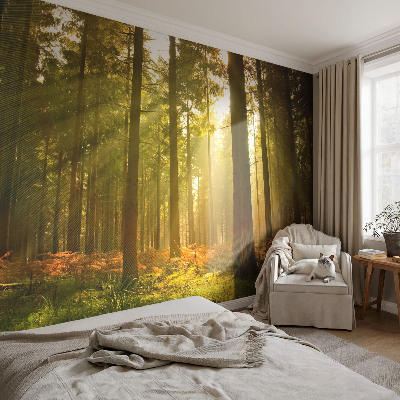 Vliesová fototapeta pro děti Lesní ráno