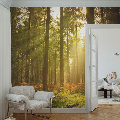 Vliesová fototapeta pro děti Lesní ráno