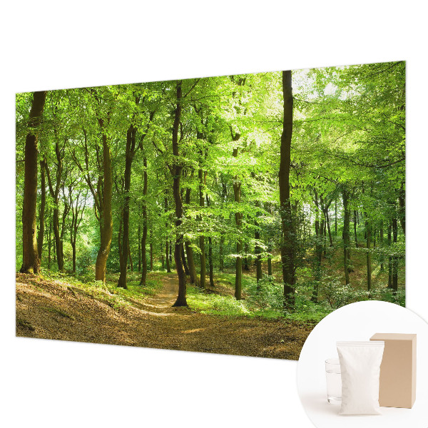 Fototapeta na stěnu Přirozená cesta