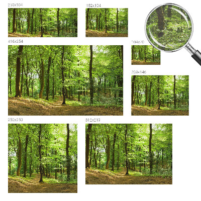 Fototapeta na stěnu Přirozená cesta