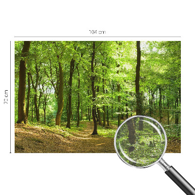 Fototapeta na stěnu Přirozená cesta