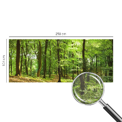 Fototapeta na stěnu Přirozená cesta