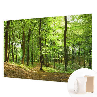Fototapeta na stěnu Přirozená cesta