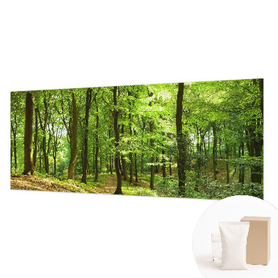 Fototapeta na stěnu Přirozená cesta