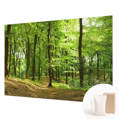 Fototapeta na stěnu Přirozená cesta