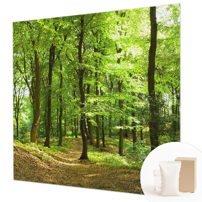 Fototapeta na stěnu Přirozená cesta