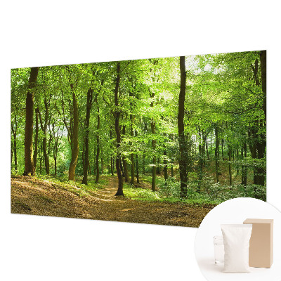 Fototapeta na stěnu Přirozená cesta