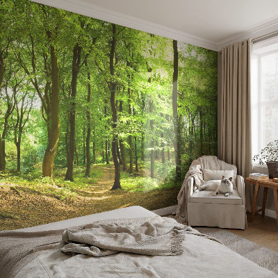Fototapeta na stěnu Přirozená cesta