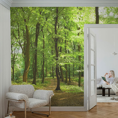 Fototapeta na stěnu Přirozená cesta