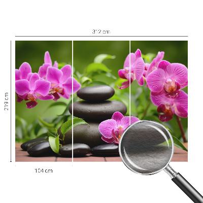 Vliesová fototapeta do obýváků Orchidejové kameny