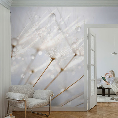 Fototapeta do ložnice Růžová pampeliška