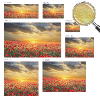 Vliesová fototapeta s potiskem Makové pole