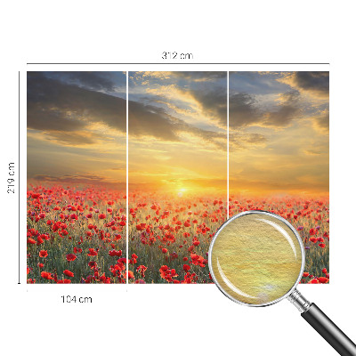 Vliesová fototapeta s potiskem Makové pole