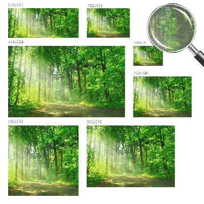 3D fototapeta Lesní cesta