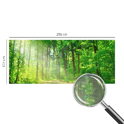 3D fototapeta Lesní cesta