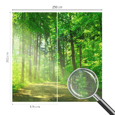3D fototapeta Lesní cesta