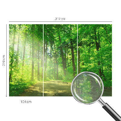 3D fototapeta Lesní cesta