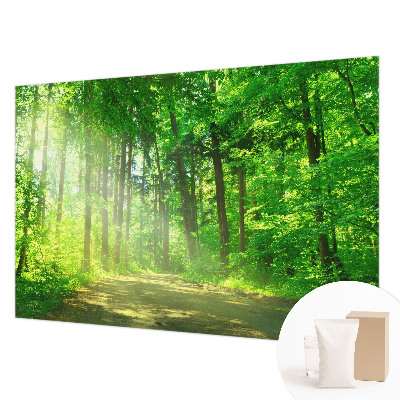 3D fototapeta Lesní cesta