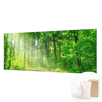 3D fototapeta Lesní cesta