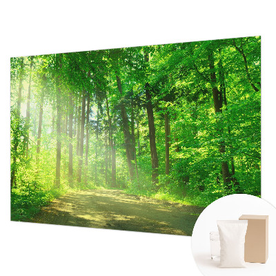 3D fototapeta Lesní cesta