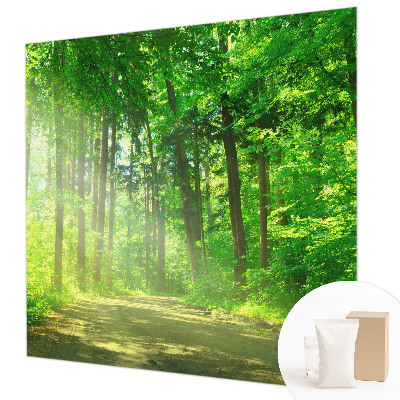 3D fototapeta Lesní cesta