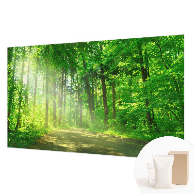 3D fototapeta Lesní cesta