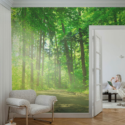 3D fototapeta Lesní cesta