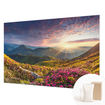 Fototapeta na stěnu s motivem horského panoramatu